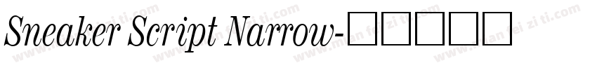 Sneaker Script Narrow字体转换